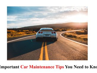 5 Important Car Maintenance Tips You Need to Know